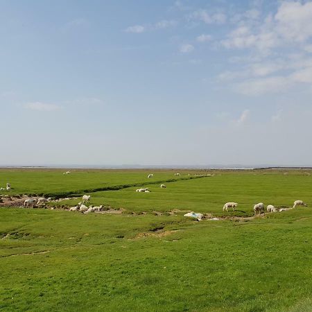 Kleines Haeuschen Am Deich, Vor Den Toren Von Sylt Βίλα Emmelsbüll-Horsbüll Εξωτερικό φωτογραφία