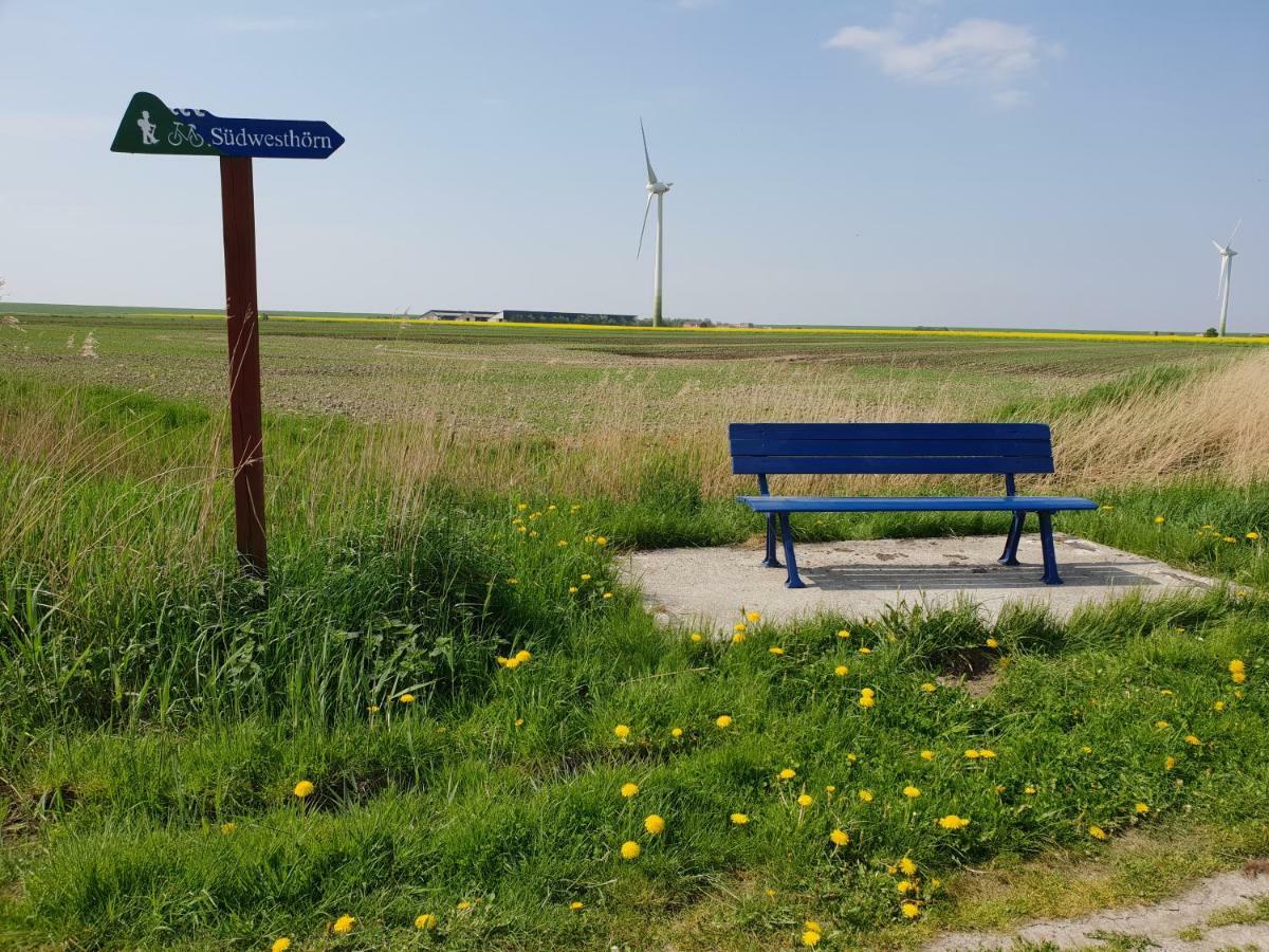 Kleines Haeuschen Am Deich, Vor Den Toren Von Sylt Βίλα Emmelsbüll-Horsbüll Εξωτερικό φωτογραφία